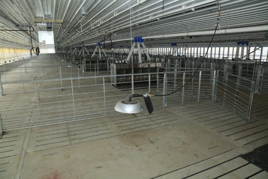 Захист підлоги у тваринницьких приміщеннях взимку: як зберегти довговічність та чистоту